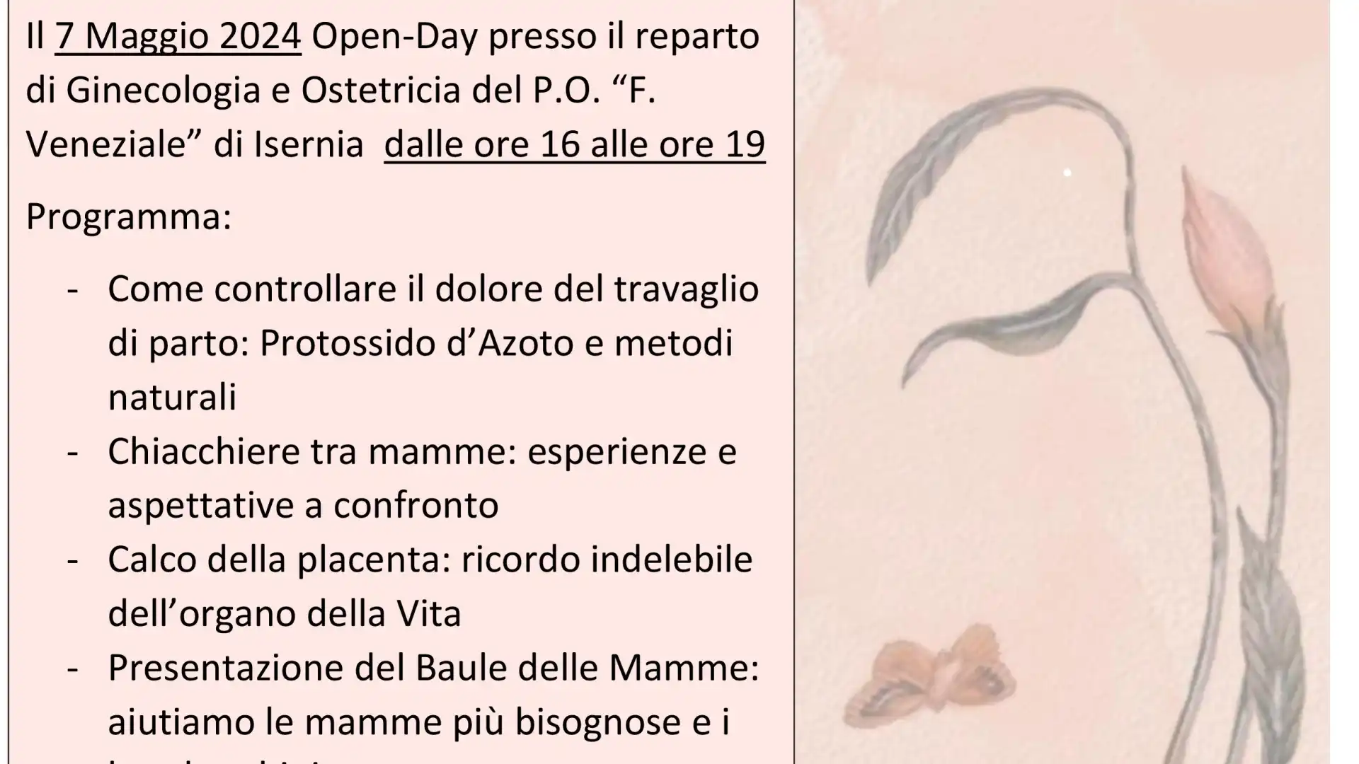 Settimana Rosa: l'iniziativa dell'Asrem Molise fa tappa presso il reparto di ginecologia e ostetricia del Veneziale di Isernia.